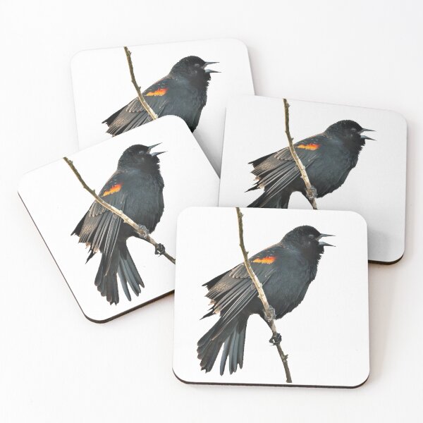 Item preview, Red-winged Blackbird sings designed and sold by kswild.