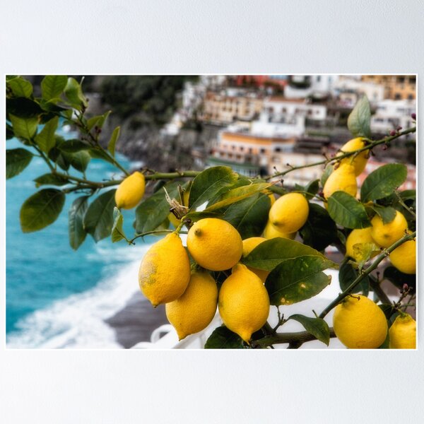 Item preview,  Amalfi Coast Lemon Tree  designed and sold by George Oze.