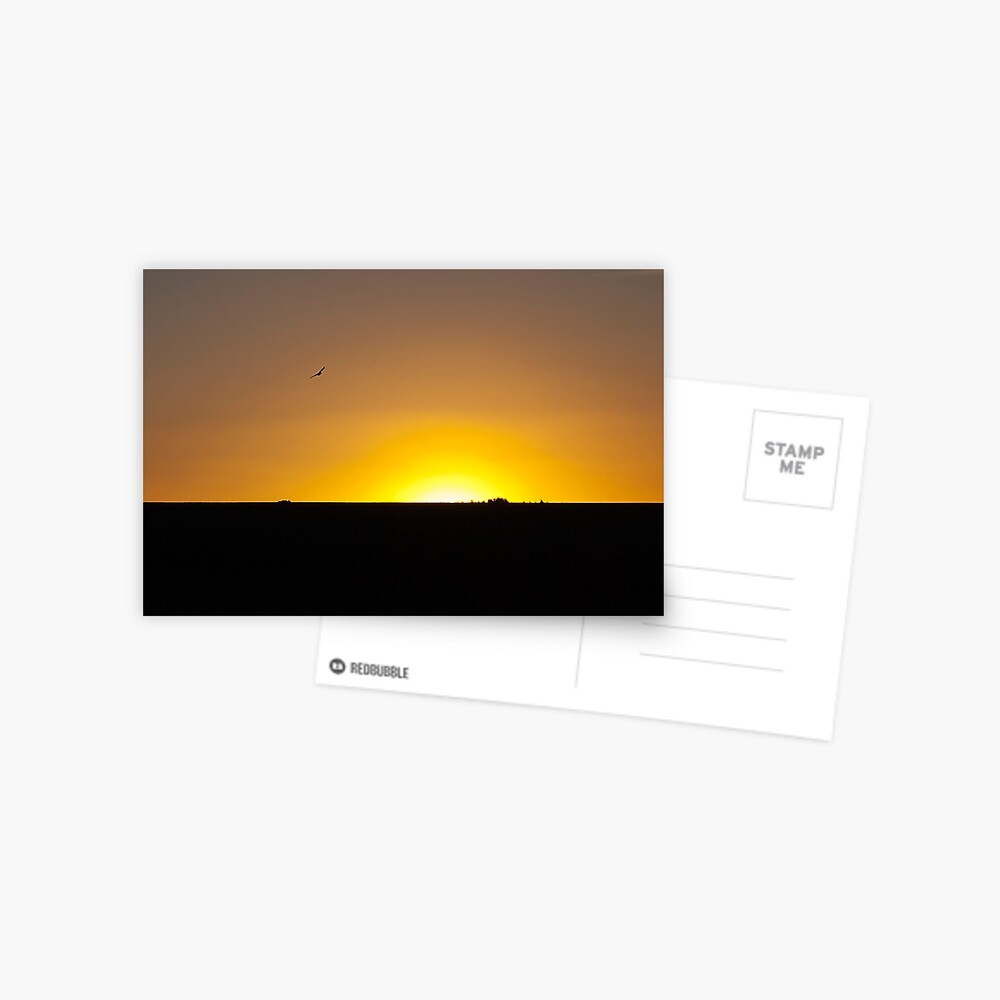 A Crow in the Sunset Postcard