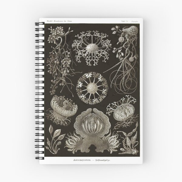 Item preview, Plate 73. Ascomycetes, a general term for the soft-rot fungi.  designed and sold by Squirrox.