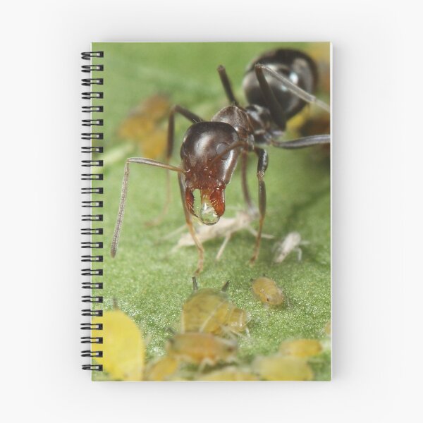 Item preview, Symbiotic Relationships designed and sold by Darren Post.