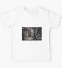 Hidden Ruin Kids Tee