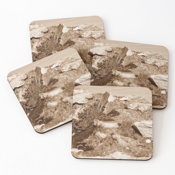 Item preview, Reeds, Rocks and Pebbles - Sepia Palette  designed and sold by Niina  Niskanen.
