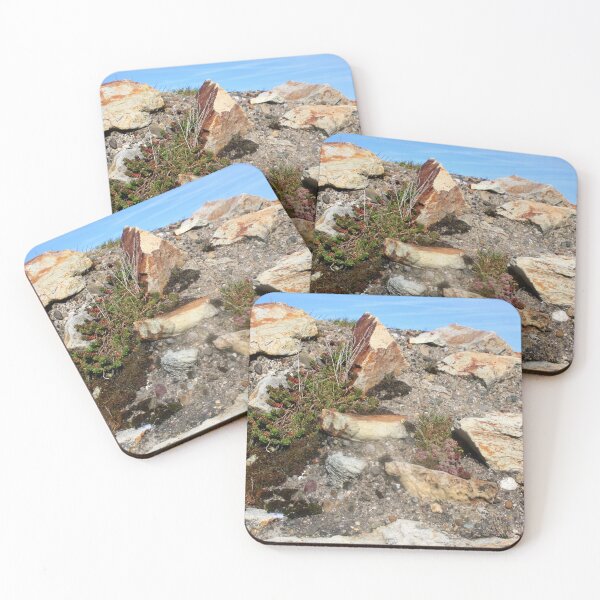 Item preview, Reeds, Rocks and Pebbles  designed and sold by Niina  Niskanen.