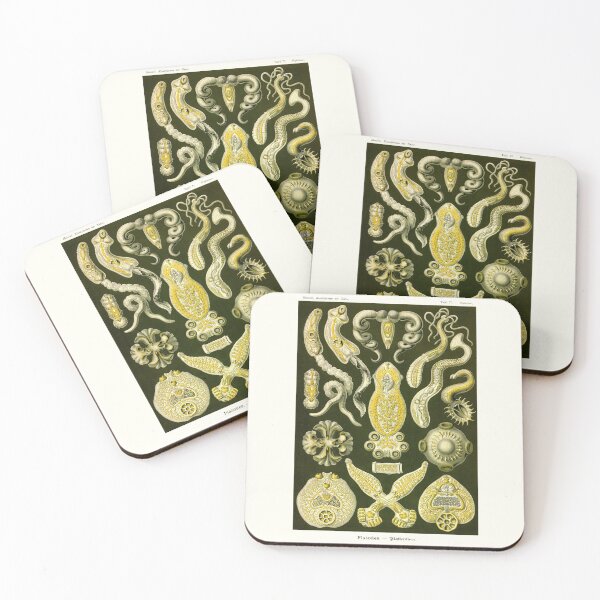 Item preview, Plate 75. Platodes, flatworms, a previous name for the Platyhelminthes designed and sold by Squirrox.