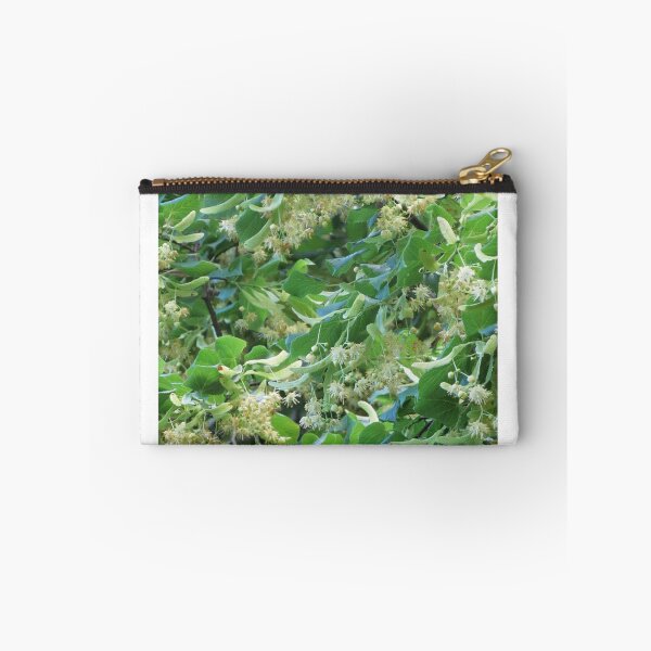 Item preview, Linden Blossoms, Le Mans designed and sold by georgebarnard.