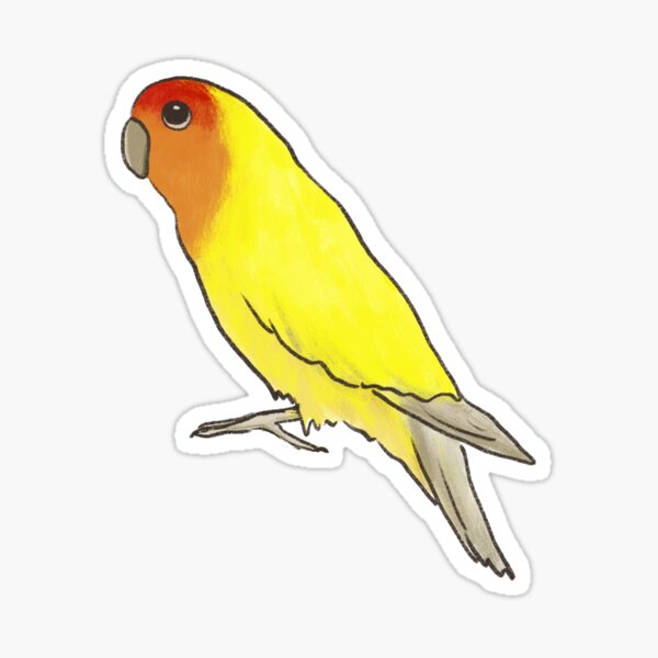 Item preview, rosy-faced lovebird designed and sold by lobitos.
