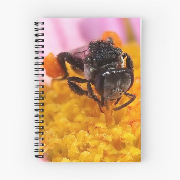Item preview, Collecting Pollen designed and sold by Darren Post.