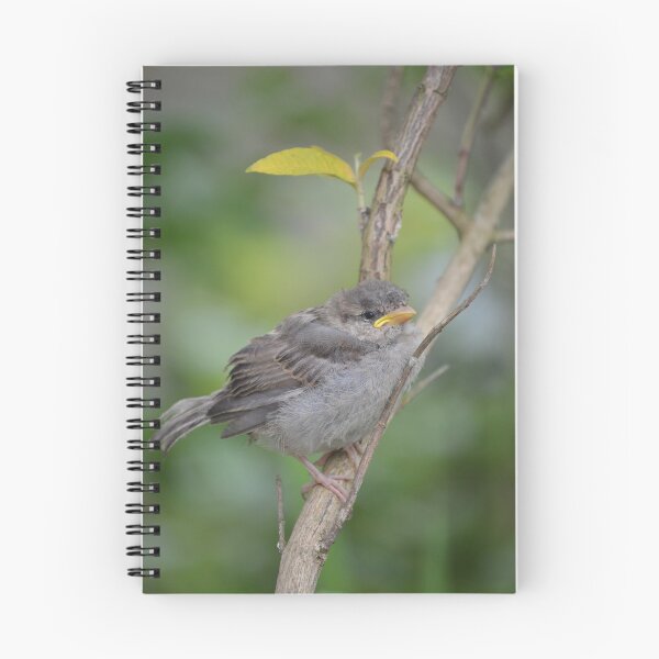 Item preview, A Little Bird Told Me designed and sold by Carla Maloco.