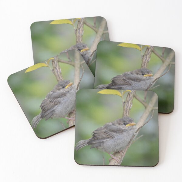 Item preview, A Little Bird Told Me designed and sold by Carla Maloco.