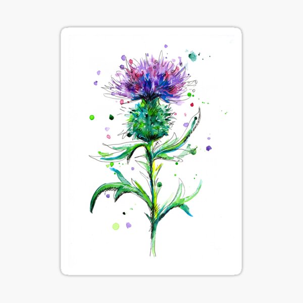 Thistle #1 Sticker