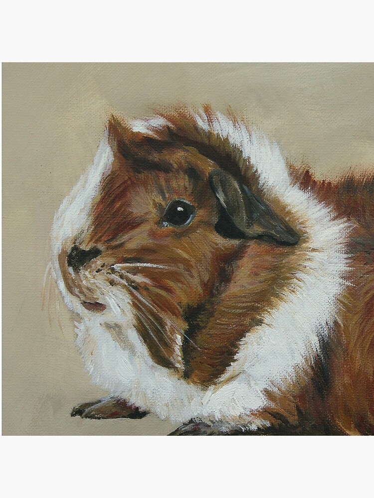 "Lucky" Gorgeous Guinea Pig by lyndseyart