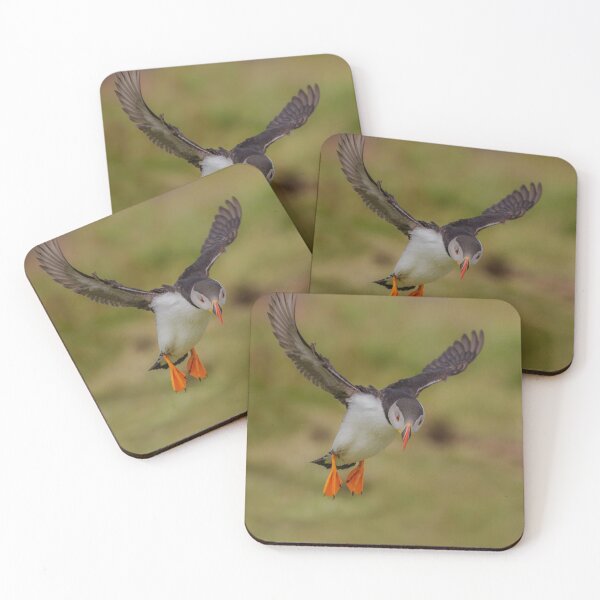 Item preview, Puffin Landing designed and sold by ROY MCPEAK.