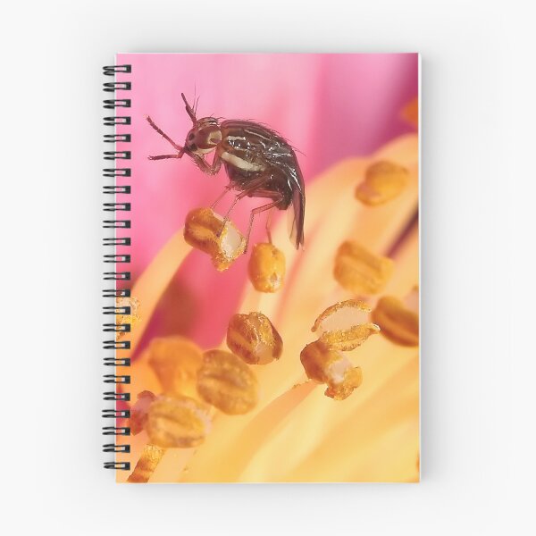 Item preview, Tasty Pollen designed and sold by Darren Post.