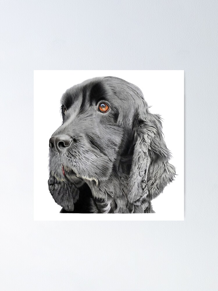 "Hand drawn dog art" Poster for Sale by sophiejayneart Redbubble