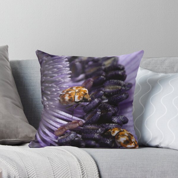 Item preview, Hide and Seek designed and sold by Darren Post.