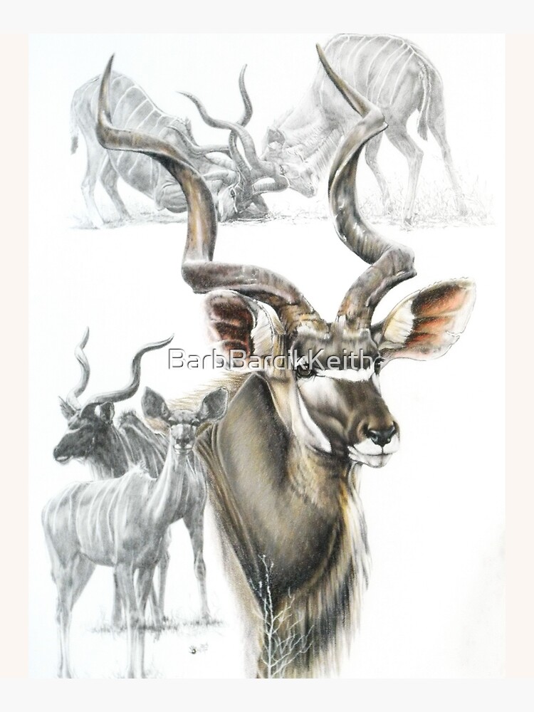 Kudu Collage by BarbBarcikKeith