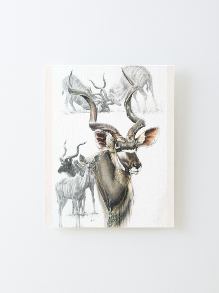 Alternate view of Kudu Collage Mounted Print