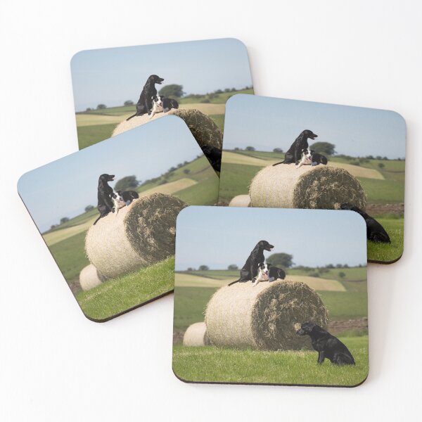 Item preview, Dogs on a Bale designed and sold by RedGrouse.