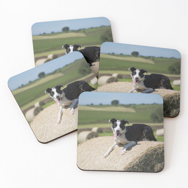 Item preview, Sheepdog on a Bale designed and sold by RedGrouse.