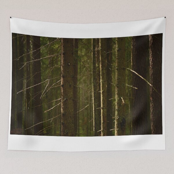 Item preview, Trunks of fir bare  trees in dry branches with dark bark in the dense coniferous forest are always in the shade without sunlight designed and sold by yarvin13.
