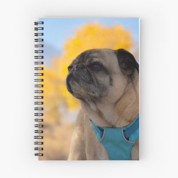 Item preview, Pug On Lookout for Autumn Color designed and sold by pugventurephoto.