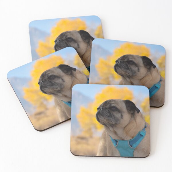 Item preview, Pug On Lookout for Autumn Color designed and sold by pugventurephoto.