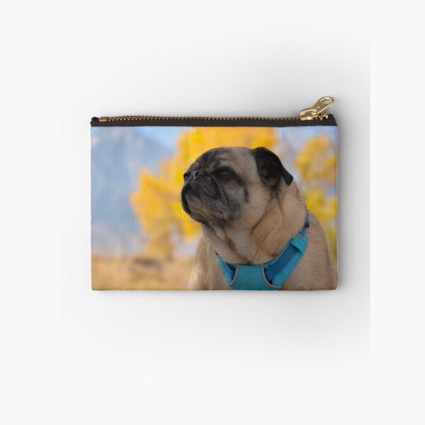 Item preview, Pug On Lookout for Autumn Color designed and sold by pugventurephoto.