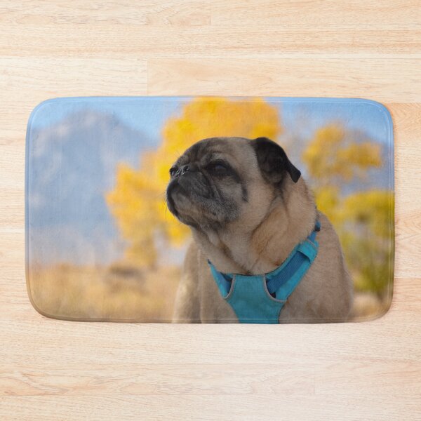 Item preview, Pug On Lookout for Autumn Color designed and sold by pugventurephoto.