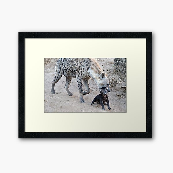 Mom...Wait..Wait..Wait... Framed Art Print