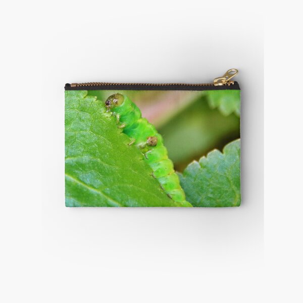 Item preview, The Green-Veined White Butterfly Caterpillar designed and sold by AnnDixon.