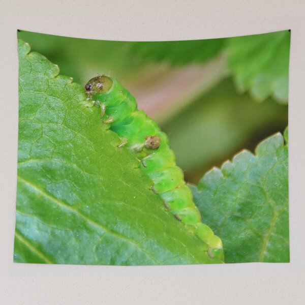 Item preview, The Green-Veined White Butterfly Caterpillar designed and sold by AnnDixon.