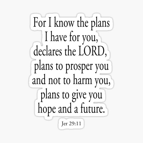 BIBLE. For I know the plans I have for you... Sticker