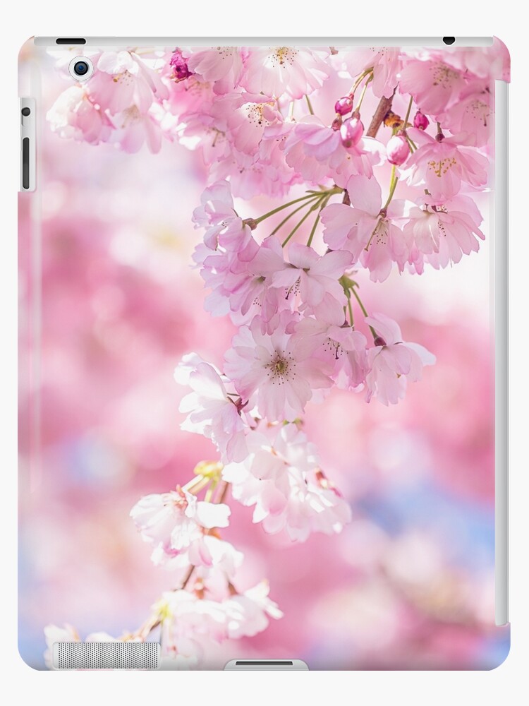 Pretty Pastel Cherry Blossom Cascade Ipad Case Skin By Zoepower Redbubble