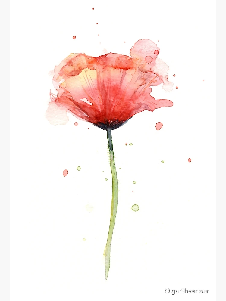 Red poppy. popular Original watercolor.