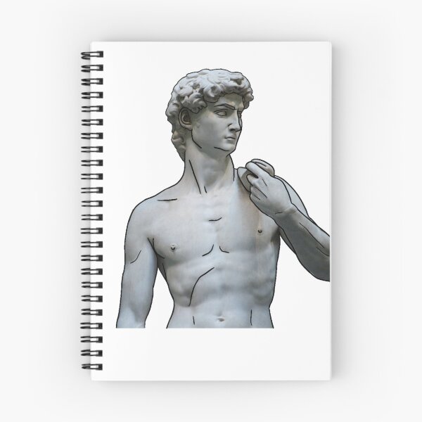 Item preview, Statue of David designed and sold by warriorgail.