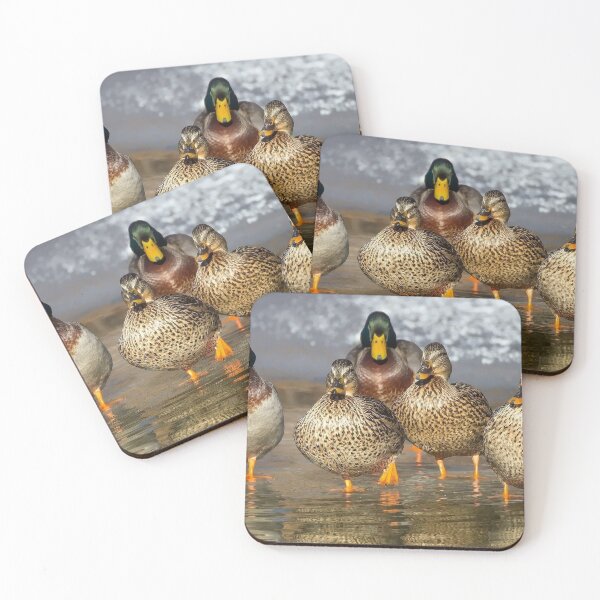 Item preview, Mallard Ducks designed and sold by Strawflower Oasis.