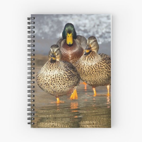 Item preview, Mallard Ducks designed and sold by Strawflower Oasis.