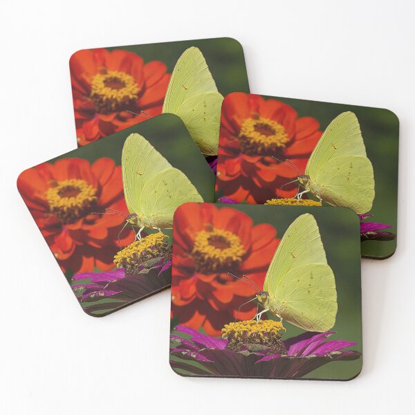 Item preview, Lady Sulphur Loves Zinnias designed and sold by Brenda Burnett.