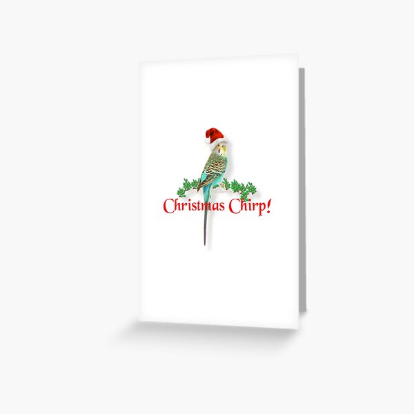 Christmas Budgie Greeting Card