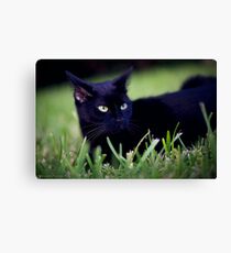 Mia Canvas Print