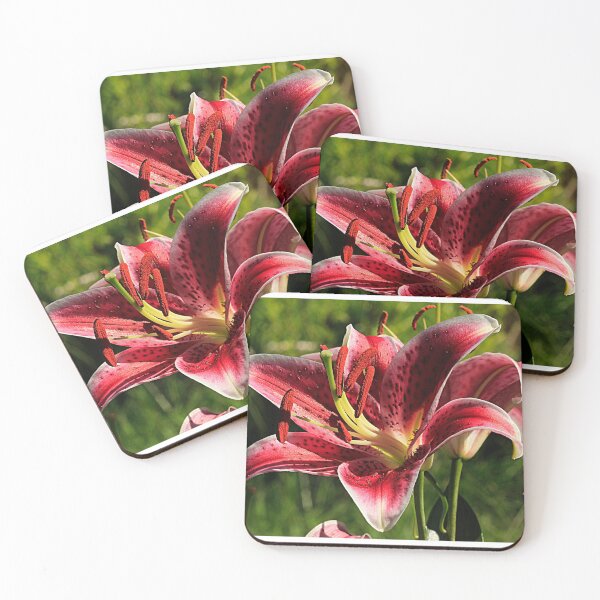 Item preview, Lily Love designed and sold by Brenda Burnett.
