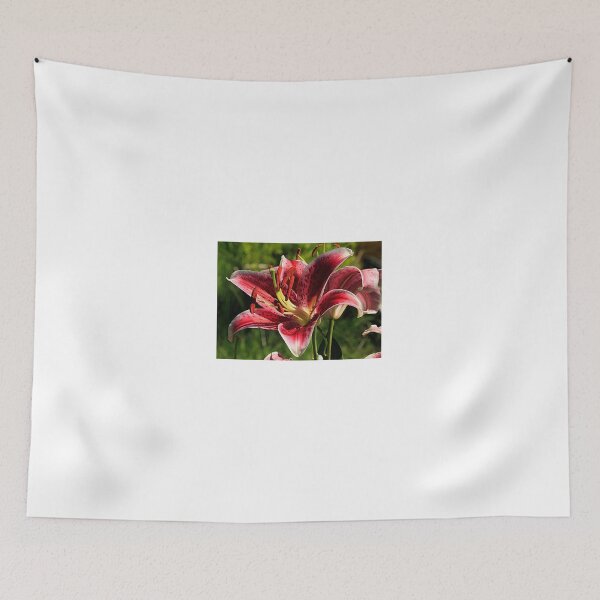 Item preview, Lily Love designed and sold by Brenda Burnett.