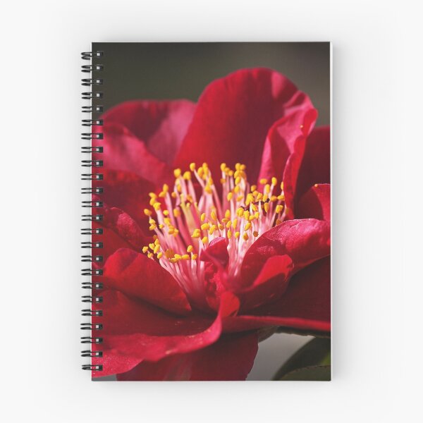 Item preview, Camellia's In Style designed and sold by Joy Watson - Natural Light Photography .