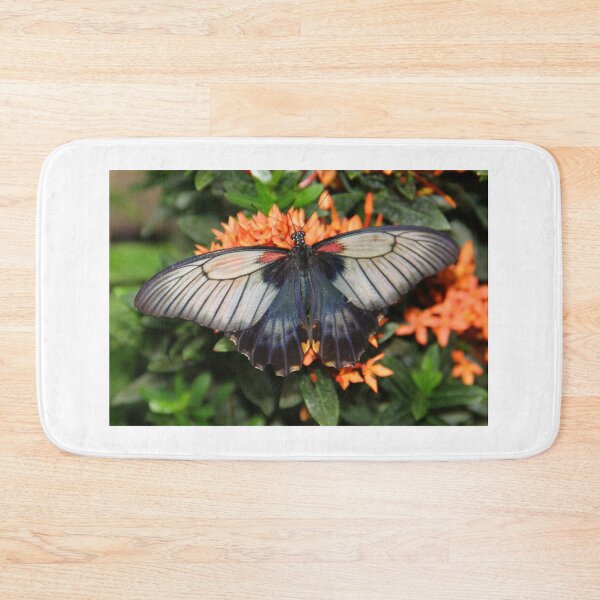 Item preview, Great Mormon Butterfly enjoying nector. designed and sold by vette.