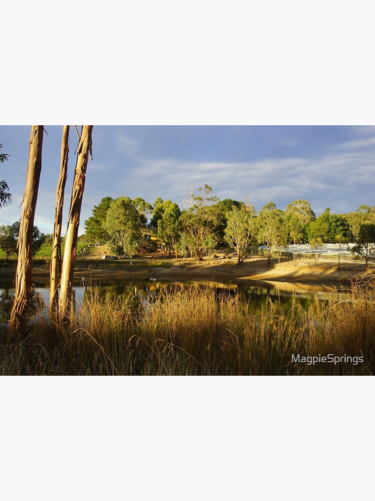 "Summer by the Dam Adelaide Hills Wine Region Fleurieu Peninsula by