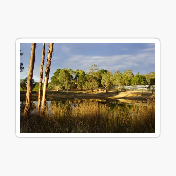 Item preview, Summer by the Dam - Adelaide Hills Wine Region - Fleurieu Peninsula by South Australian artist Avril Thomas designed and sold by MagpieSprings.