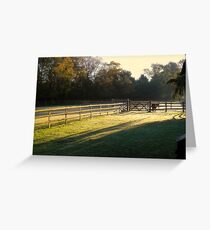 Autumn Warmth Greeting Card