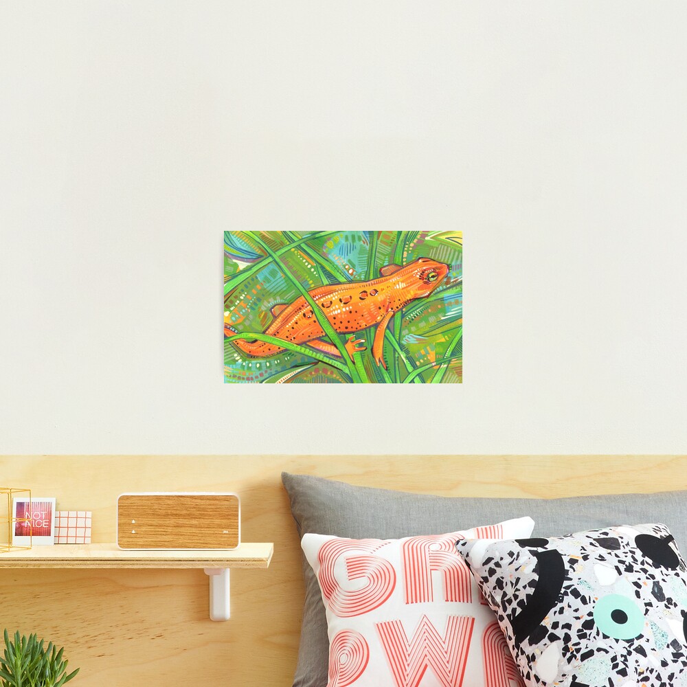 Eastern Newt Painting - 2019 Photographic Print