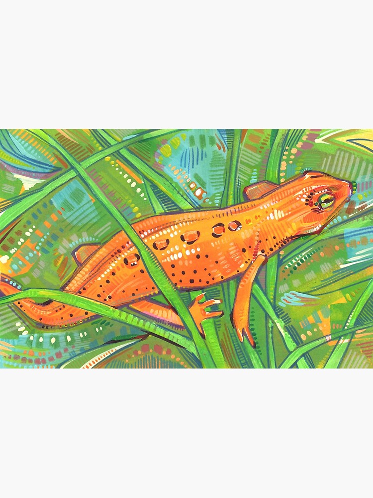 Eastern Newt Painting - 2019 by gwennpaints